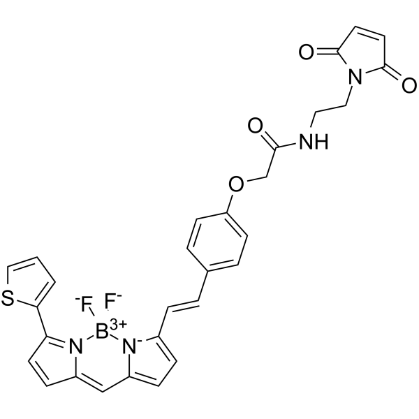 BDP 630/650 Maleimide