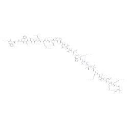 β-Endorphin (rat)