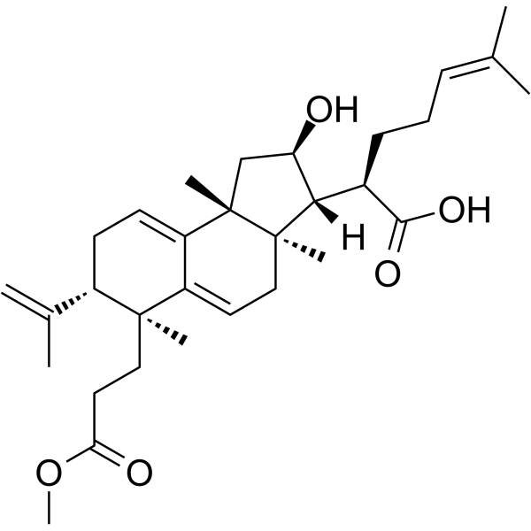 Poricoic acid BM