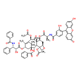 Flutax 1