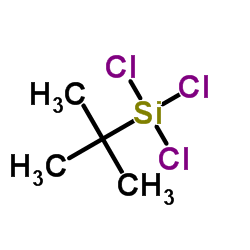 叔丁基三氯硅烷