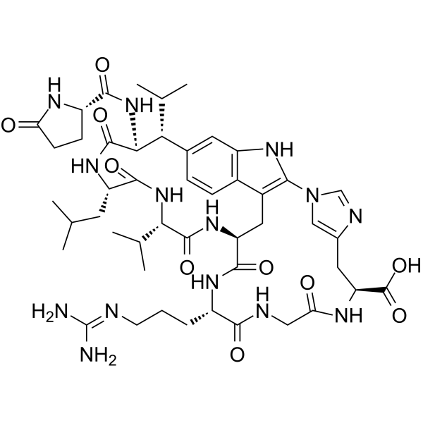 moroidin