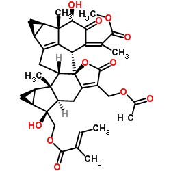 Chlorahololide D