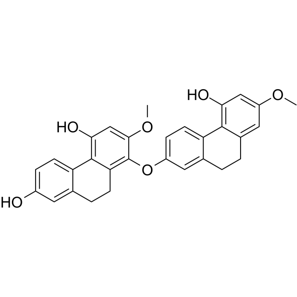 PhoyunnaninE