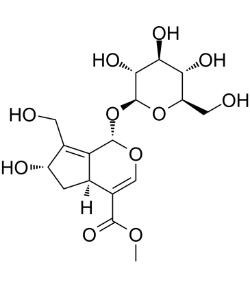 10-Hydroxy majoroside