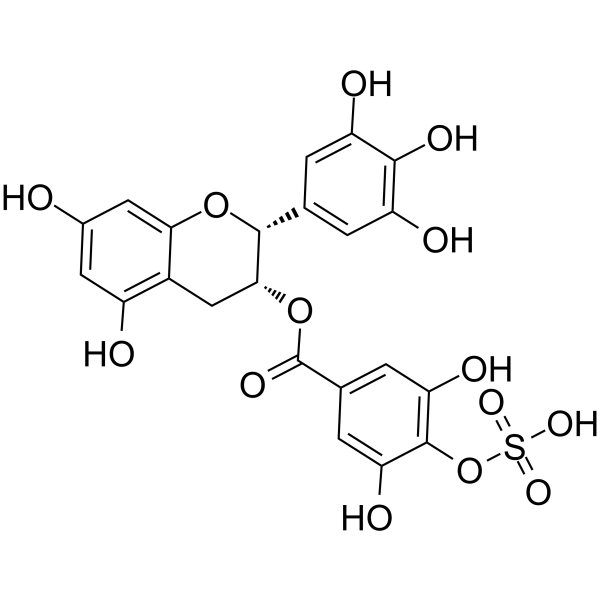 EGCG-4″-sulfate