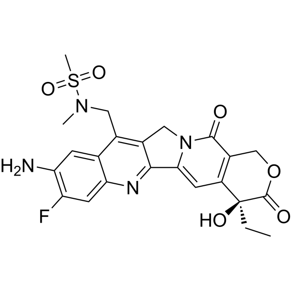 Camptothecin analog-1