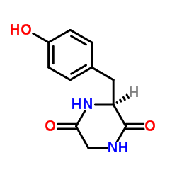 环(甘氨酰-酪氨酸)