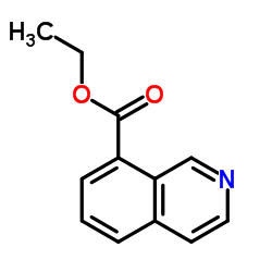 8-异喹啉甲酸乙酯