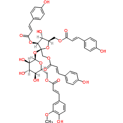 vanicoside B