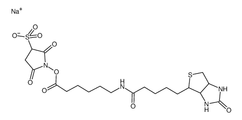 生物素酰氨基己酸-3-磺酸基-N-羟基琥珀酰亚胺酯