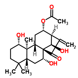 香茶菜乙素