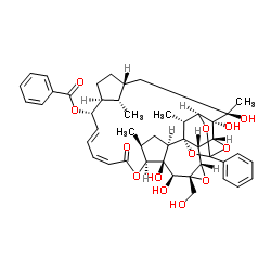 Trigonosin F