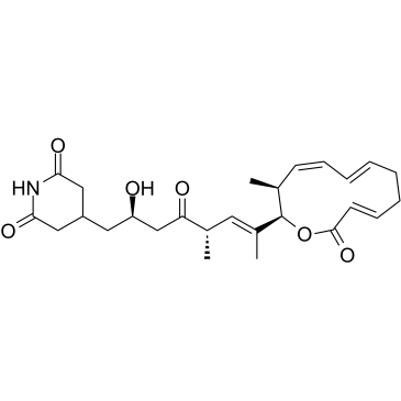 Lactimidomycin