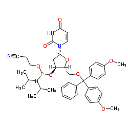 dU 亚磷酰胺单体