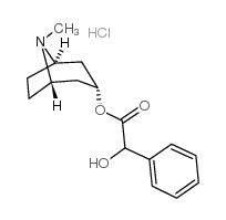 盐酸后马托品