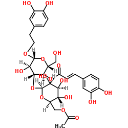 鞭打绣球苷B