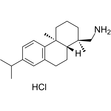 Leelamine hydrochloride