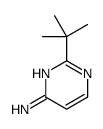 2-叔丁基-4-氨基嘧啶