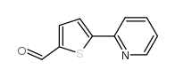 5-吡啶基-2-硫苯-2-甲醛