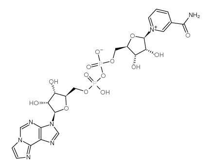 烟酰胺1,N6-乙烯基腺嘌呤二核苷酸