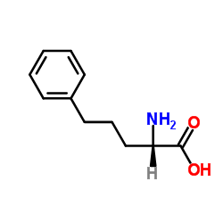 l-2-氨基-5-苯基戊酸