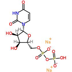 尿苷-5'-二磷酸钠盐