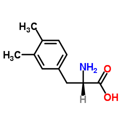 2-氨基-3-(3,4-二甲基苯基)丙酸盐酸盐