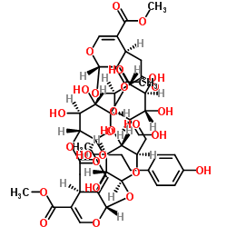 Oleonuezhenide