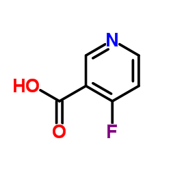 4-氟吡啶-3-羧酸