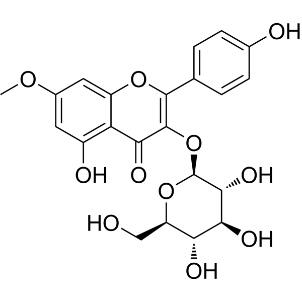 鼠李柠檬素-3-O-Β-D-葡萄糖苷