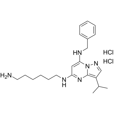 BS-181 dihydrochloride