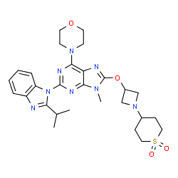 GNE-293