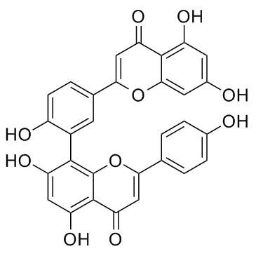 穗花杉双黄酮； 阿曼托黄酮