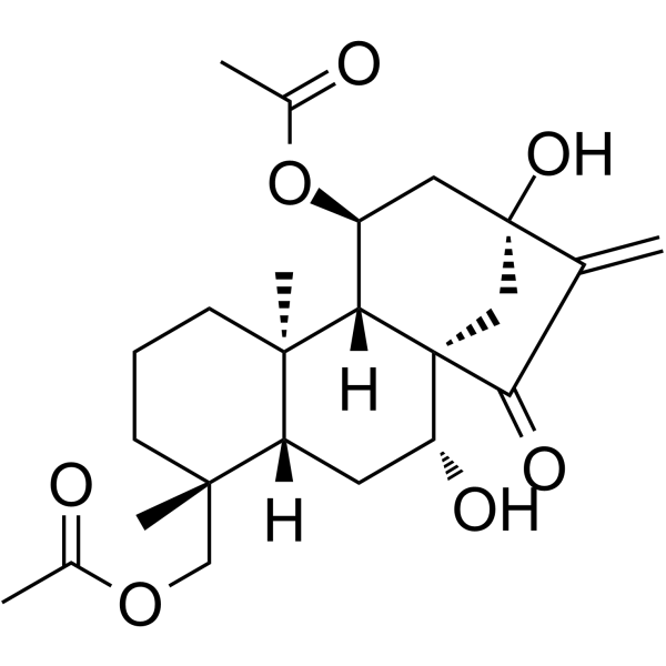 叶含乙酰瘿花香茶菜素 B