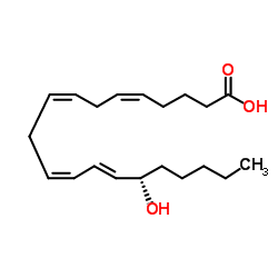 15-Hydroxyeicosatetraenoic acid