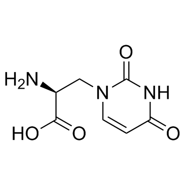 尿嘧啶基丙氨酸