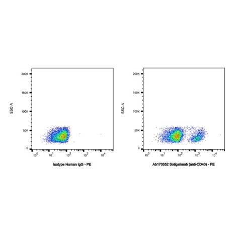 Sotigalimab