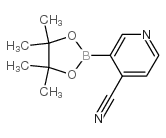 4-氰基吡啶-3-硼酸频哪醇酯