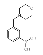 3-吗啉甲基苯硼酸