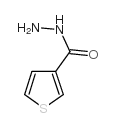 噻吩-3-甲酰肼