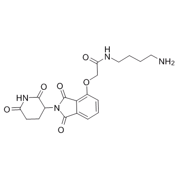 E3 Ligase Ligand-Linker Conjugates 19