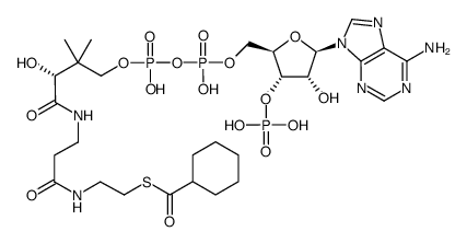 Cyclohexanoyl-Coenzyme A