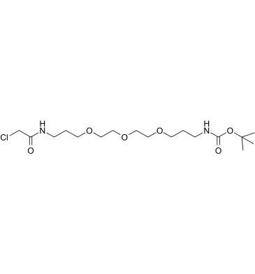 Chloroacetamido-C-PEG3-C3-NHBoc