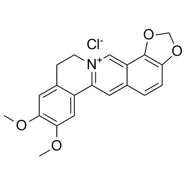 小檗红碱氯化物