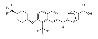 BIO-32546