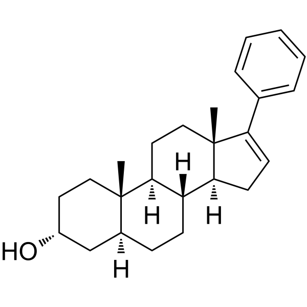 17-PA