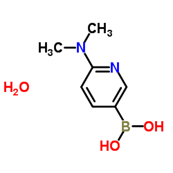 2-(二甲基氨基)吡啶-5-硼酸