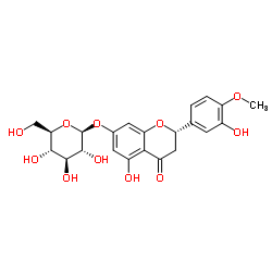 橙皮素7-O-葡萄糖苷