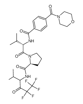 MDL 101146